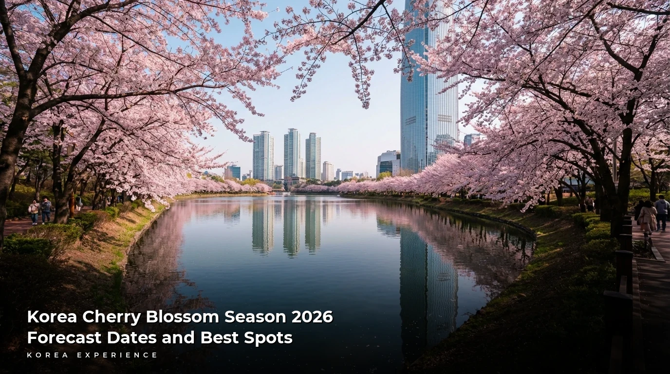 Korea Cherry Blossom Season 2026: Forecast Dates and Best Spots
