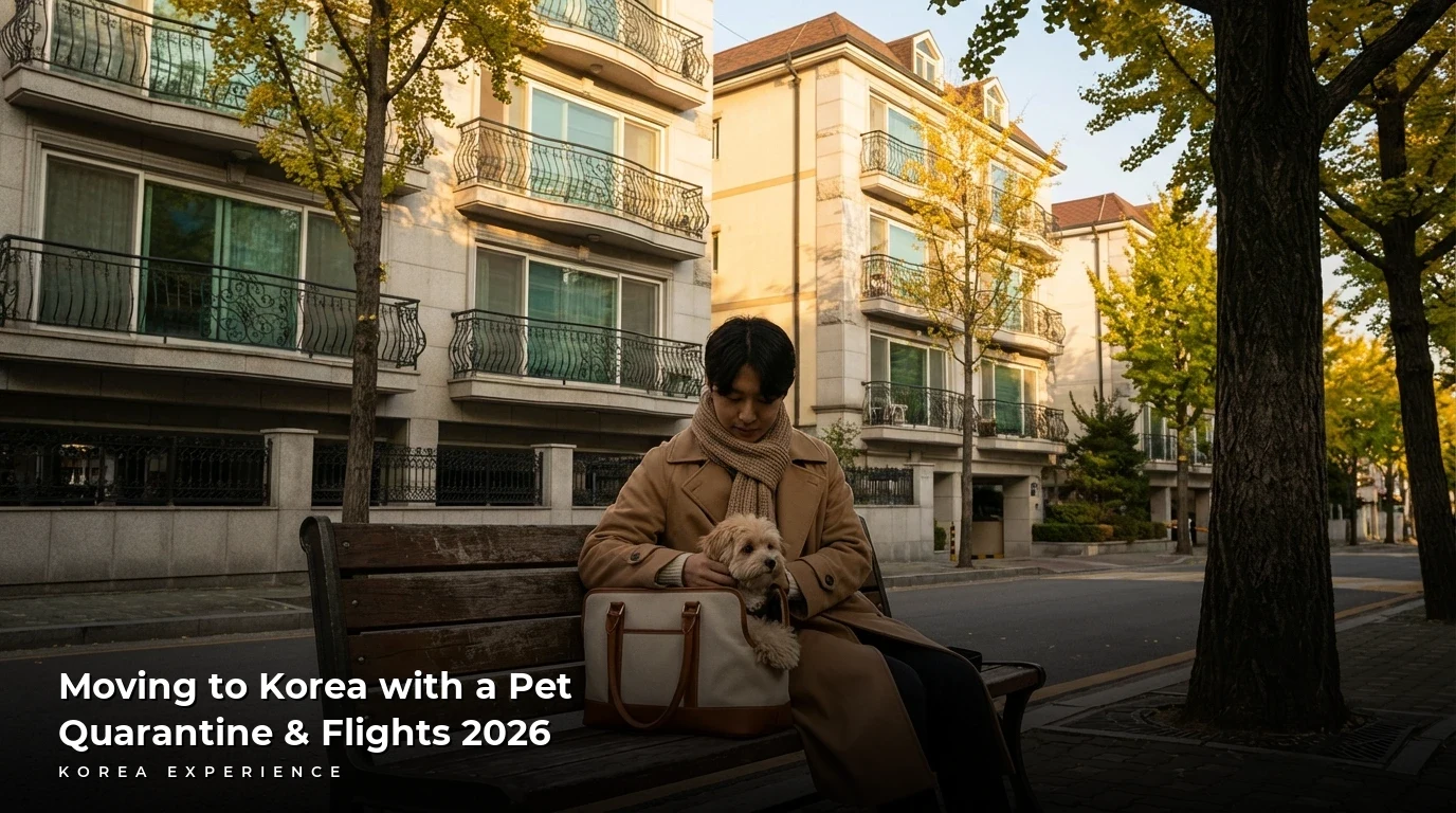 Moving to Korea with a Pet: Quarantine & Flights 2026